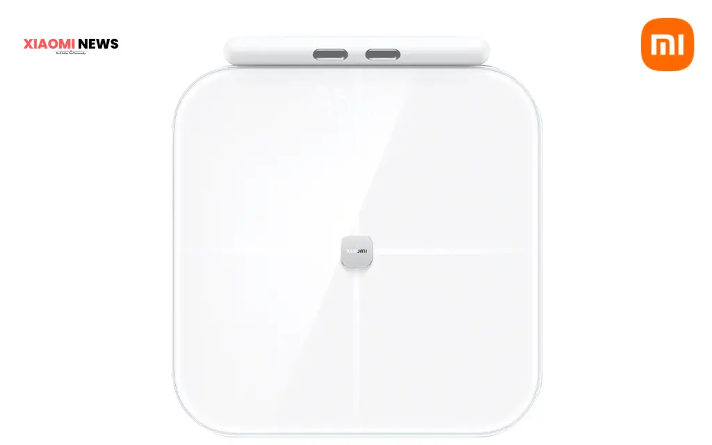 What can the Xiaomi S800 Scale measure?